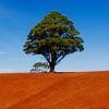 Cancer Support Melbourne counselling