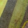 counselling-for-life-transitions-melbourne
